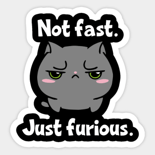 Not Fast Just Furious Cat Sticker